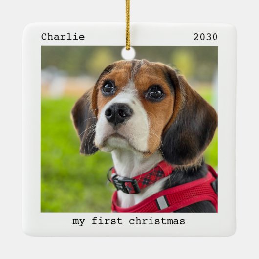 Haustiere Welpen Hund Foto Personalisiert Erste We Keramikornament (Rückseite)