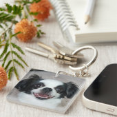 Haustiere Zuhause Allein Notfallsystem Foto Schlüsselanhänger (Vorderseite rechts)