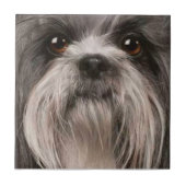 Haustierfliese 2 fliese (Vorderseite)