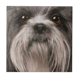 Haustierfliese 2 fliese