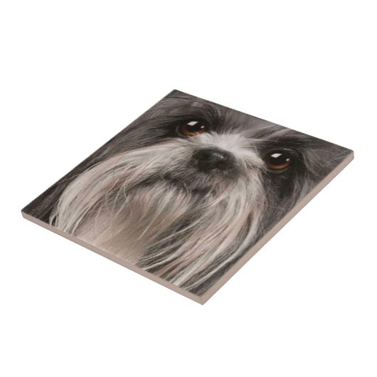 Haustierfliese 2 fliese (Seite)