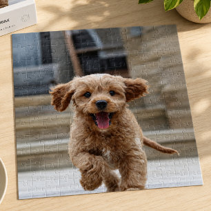 Haustierfoto   Bild hochladen Süßer niedlicher Hun Puzzle