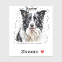 Haustierfoto mit Namen personalisieren