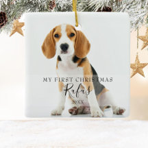 Haustierfotos Moderne Schrift Erstes Weihnachten