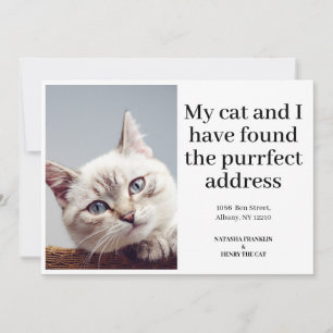 Haustierkatzenfoto Neue Adresse Umzugsmeldung