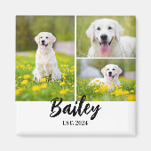 Haustiername seit 3 Foto Magnet (Vorne)