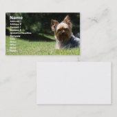 Haustierpflege-Visitenkarte Visitenkarte (Vorne/Hinten)