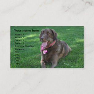 Haustierpflege-Visitenkarte Visitenkarte