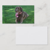 Haustierpflege-Visitenkarte Visitenkarte (Vorne/Hinten)