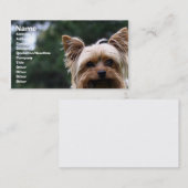 Haustierpflege-Visitenkarte Visitenkarte (Vorne/Hinten)