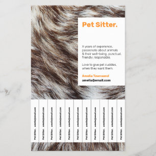 Haustiersitter Flyer Hundeausführer Tierpflege Bet