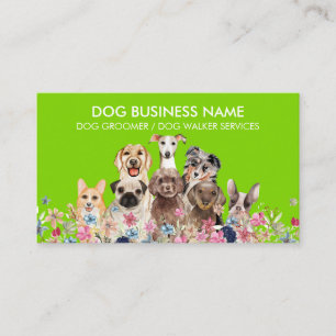 Haustiersitter Walker Hundetagesbetreuung groom ne Visitenkarte