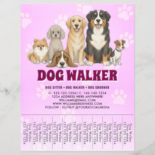 Haustiersitting Hundespaziergang Werbe Vibrant Pin Flyer