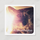 Haustiertatze instagram terminkarte (Rückseite)