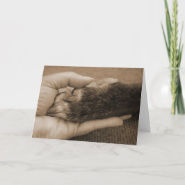 Haustierverlust Karte