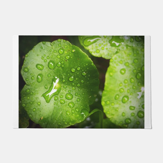 Haustüre von Premium-Qualität Fußmatte (Vorderseite)