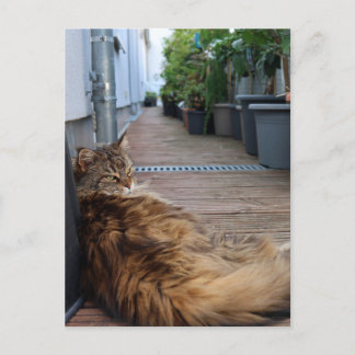 Hauswärmung oder nur umgezogen Karte