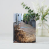 Hauswärmung oder nur umgezogen Karte (Stehend Vorderseite)