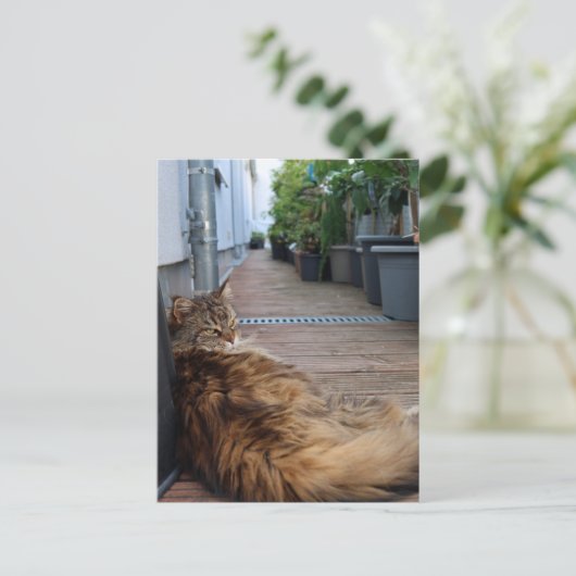 Hauswärmung oder nur umgezogen Karte (Stehend Vorderseite)