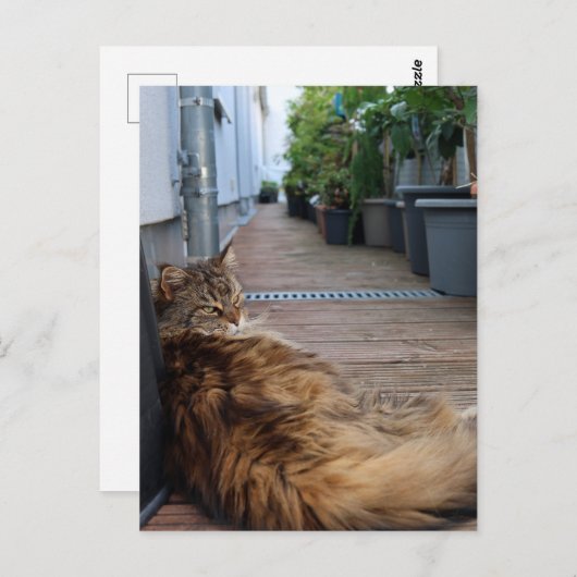 Hauswärmung oder nur umgezogen Karte (Vorne/Hinten)