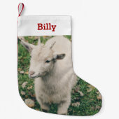 Hausziege Lover Foto und Name Personalisiert Kleiner Weihnachtsstrumpf (Vorderseite)