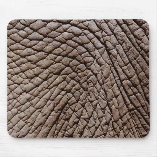 Haut von Afrikanischem Elefanten (Loxodonta africa Mousepad (Vorne)