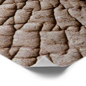 Haut von Afrikanischem Elefanten (Loxodonta africa Poster (Ecke)