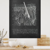 Hautanatomie Sektoransicht Dermatologe Dekoration (Küche)