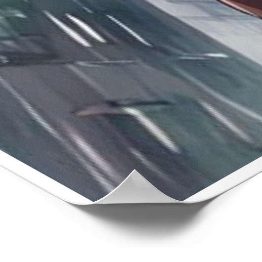 Häute und Hunde Poster (Ecke)