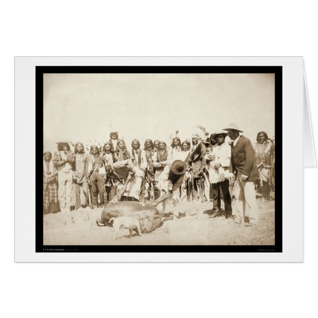 Häuten Rinder in Pine Ridge Reservation SD 1887 (Vorderseite (Horizontal))