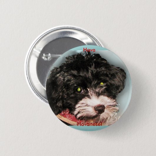 Hava Havanese! Button (Vorne & Hinten)