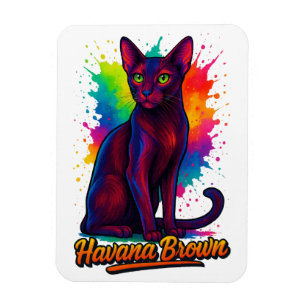 Havana Brown Cat Pop Kunst, Dichtung und Musik Magnet