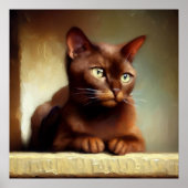 Havana Brown Cat Poster (Vorne)