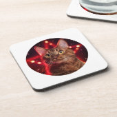 Havana Brown Cat (Rasse mit sternigem Hintergrund) Getränkeuntersetzer (Linke Seite)