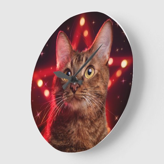 Havana Brown Cat (Rasse mit sternigem Hintergrund) Große Wanduhr (Winkel)