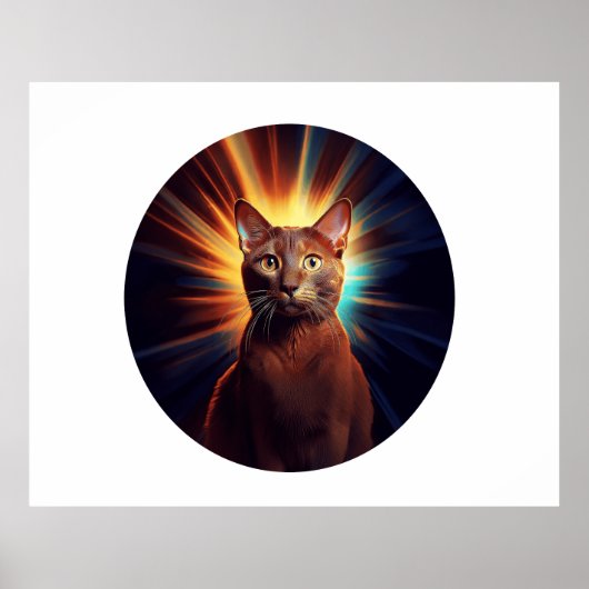 Havana Brown Cat (Rasse mit sternigem Hintergrund) Poster (Vorne)