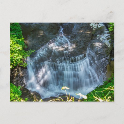 Havana Glen Park, Montour Falls, New York Postkarte (Vorderseite)