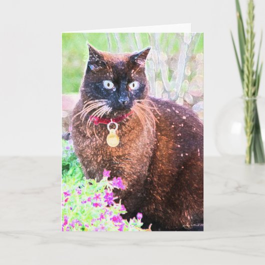 Havana Greeting Card Karte (Vorderseite)