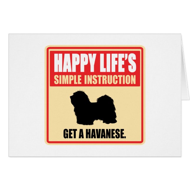 Havanese (Vorderseite (Horizontal))