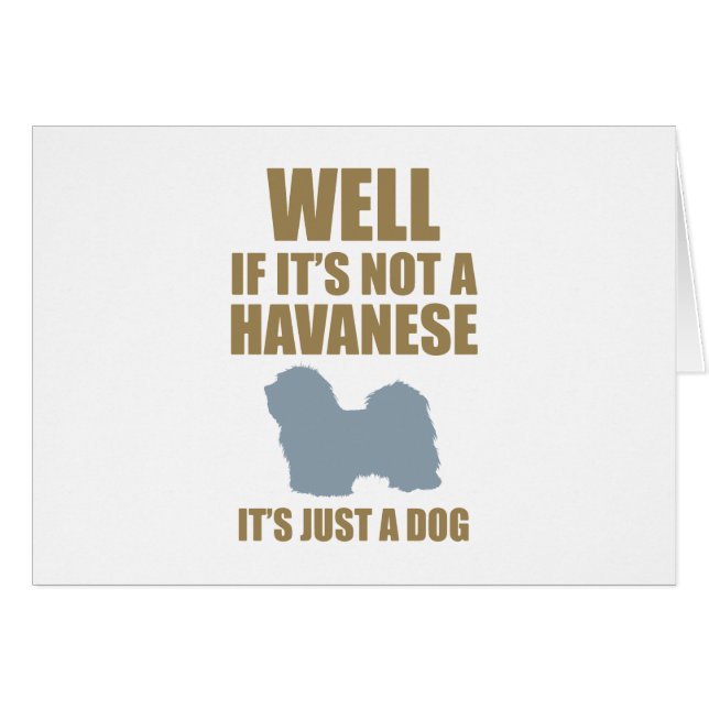 Havanese (Vorderseite (Horizontal))