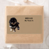 Havanese (Insitu)