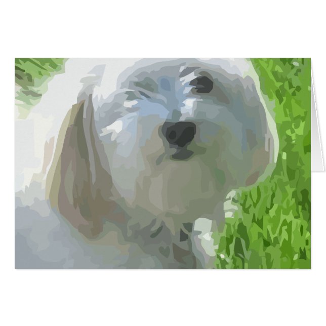 Havanese (Vorderseite (Horizontal))