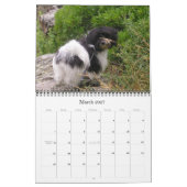 Havanese 2009 kalender (Mär 2027)