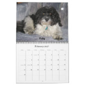 Havanese 2009 kalender (Feb 2027)