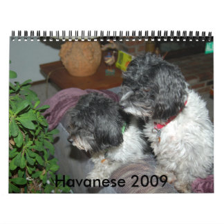 Havanese 2009 kalender