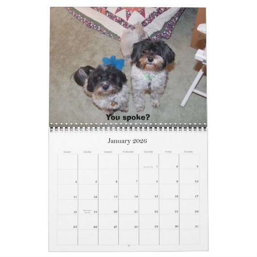 Havanese 2009 kalender (Jan 2026)