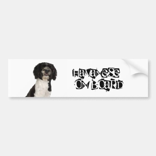 Havanese an Bord Autoaufkleber (Vorne)