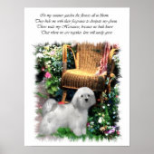 Havanese Art Print Poster (Vorne)