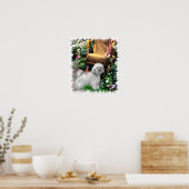 Havanese Art Print Poster (Küche)