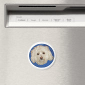 Havanese auf Blue Magnet (In Situ (Geschirrspüler))